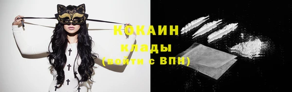 прущие грибы Богородск