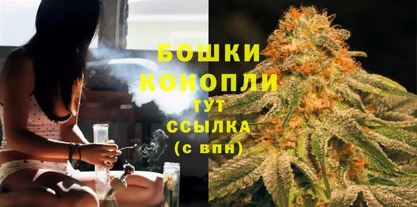 прущие грибы Богородск