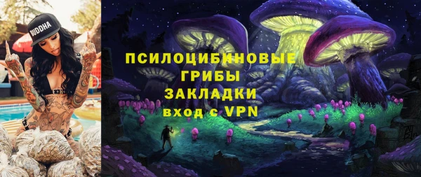 мескалин Богородицк