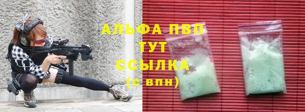 прущие грибы Богородск